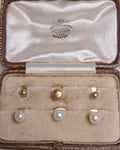 Gold  Collar Studs